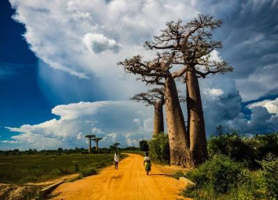 روایت تصویری از چهارمین جزیره زیبای دنیا , جزیره ماداگاسکار