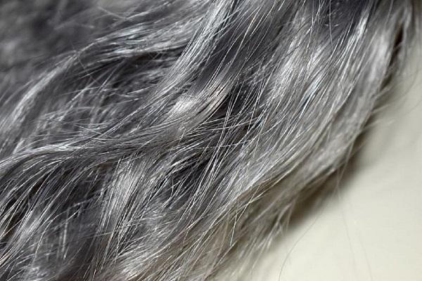 موهای خاکستری با رفع استرس می توانند رنگ طبیعی خود را بازیابند