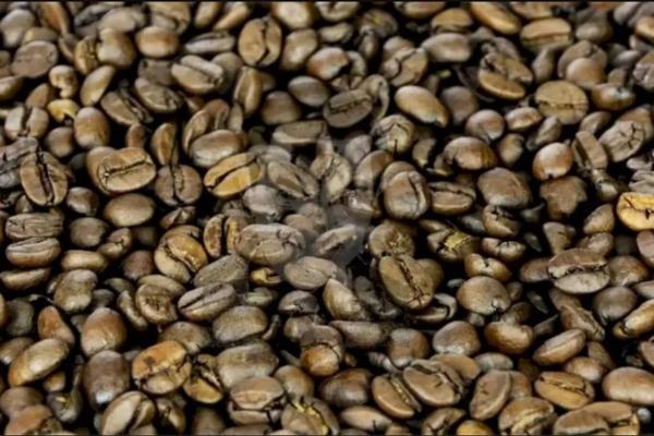 معمای توهم نوری جالب؛ سلبریتی مشهور را در میان دانه های قهوه بیابید!
