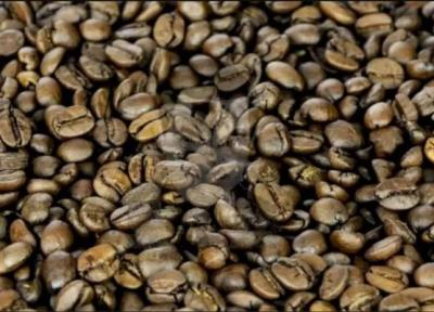 معمای توهم نوری جالب؛ سلبریتی مشهور را در میان دانه های قهوه بیابید!