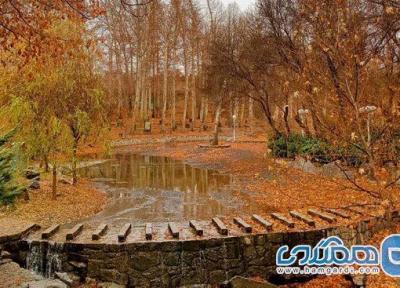 جنگل های حوالی مشهد؛ لذت کمپ جنگلی اطراف مشهد